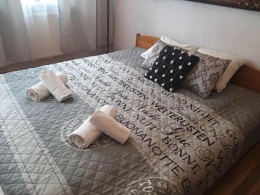 Apartment Kazimierz Rzeszowska 克拉科夫 外观 照片