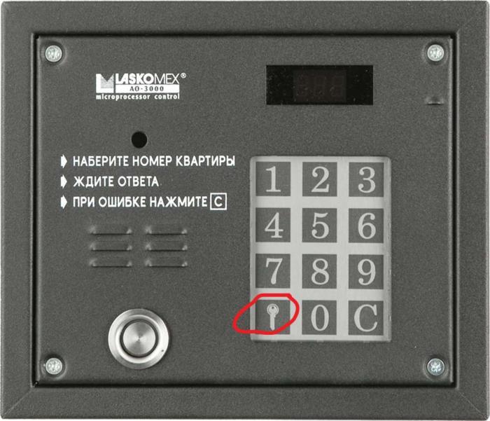 Apartment Kazimierz Rzeszowska 克拉科夫 外观 照片